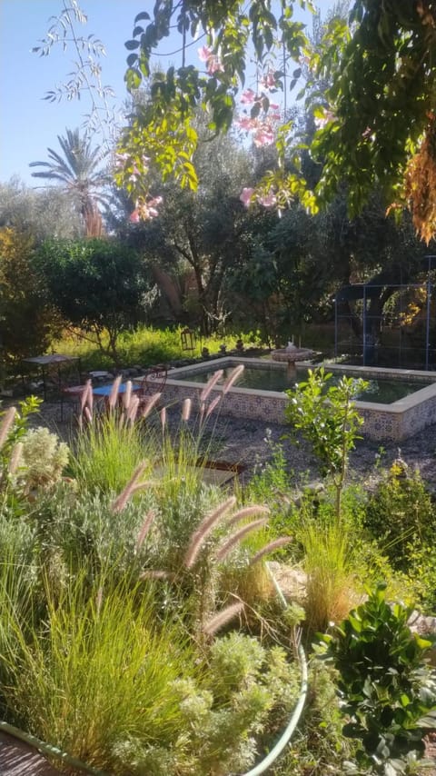 Day, Garden, Garden view