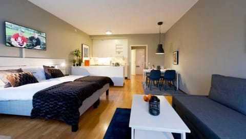 Bed, TV and multimedia, Living room, Photo of the whole room, Seating area, Bedroom