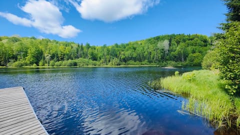 Lake view