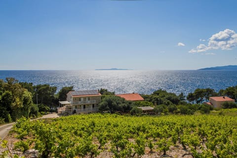 Apartments Villa Ana Apartment in Dubrovnik-Neretva County