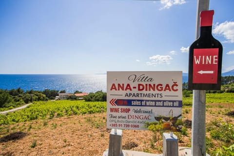 Apartments Villa Ana Apartment in Dubrovnik-Neretva County