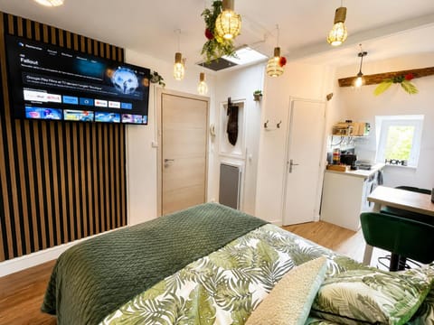 Bed, TV and multimedia, Photo of the whole room