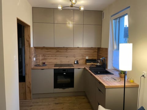 Kitchen or kitchenette, oven, stove