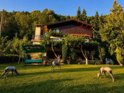 Natural landscape, Garden, Garden