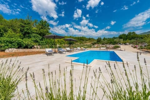 Swimming pool, Location, children, Family