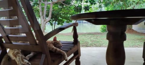 Garden, Garden view