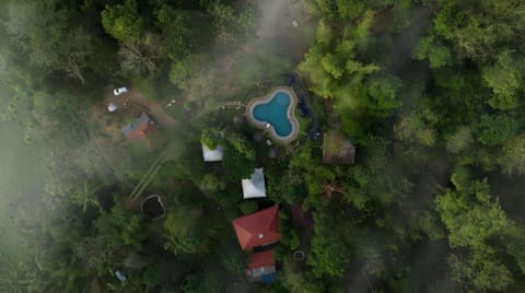 View (from property/room), Swimming pool