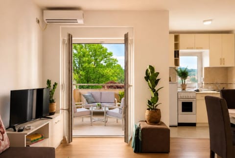 TV and multimedia, Balcony/Terrace, Kitchen or kitchenette, Living room, oven, air conditioner