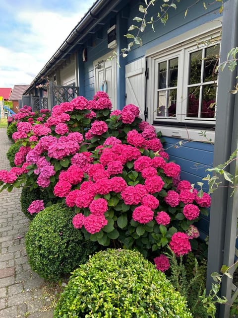 Domki Letniskowe Albatros Nature lodge in West Pomeranian Voivodeship, Poland