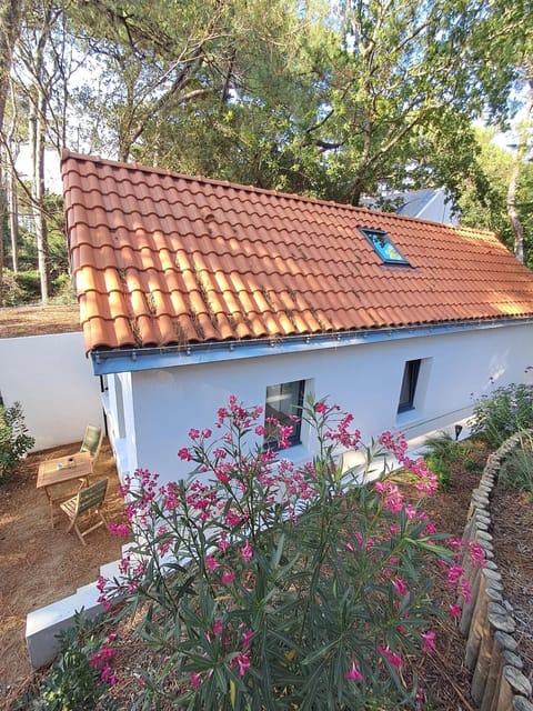 Garden, Garden view, Breakfast