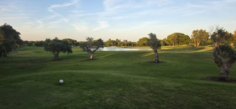 Golfcourse