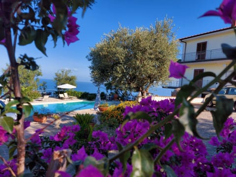 Villa Malandrino Guest House Bed and Breakfast in Agropoli