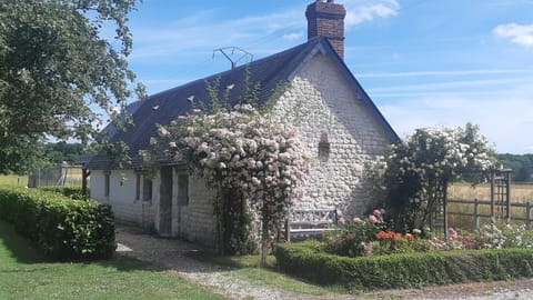 Garden, Landmark view