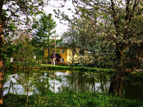 Spring, Day, Natural landscape, Lake view