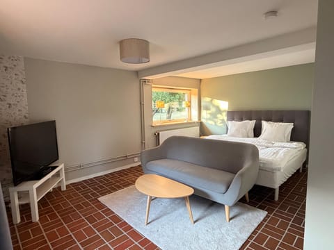 Bed, TV and multimedia, Living room, Photo of the whole room