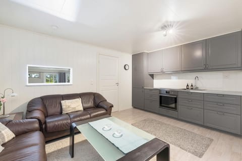 Kitchen or kitchenette, Living room, Seating area, stove