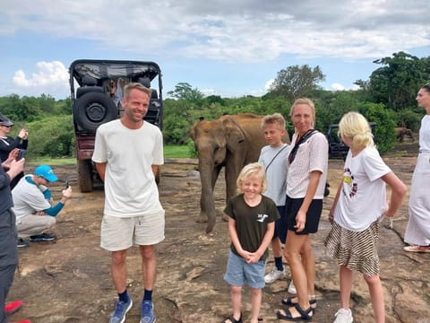 Activities, Animals
