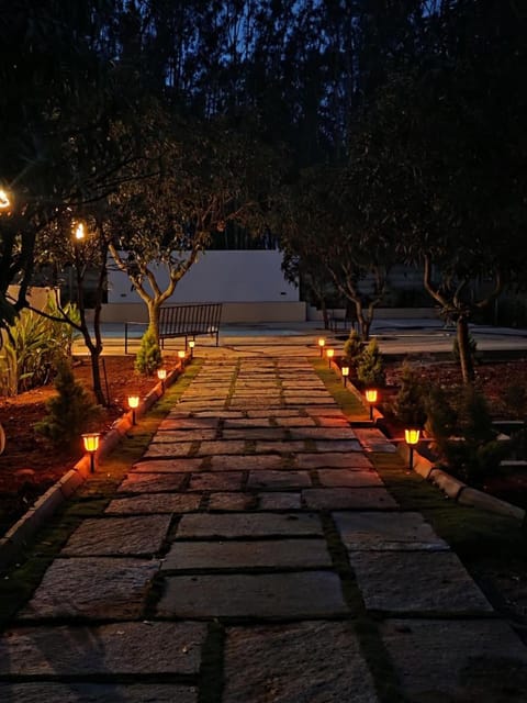 Night, Natural landscape, Garden view