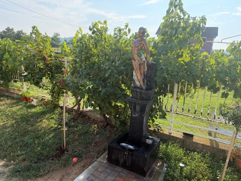 Day, Garden