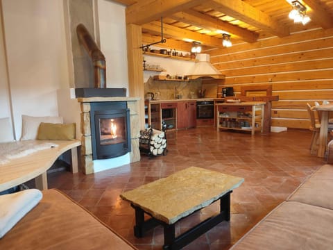 Kitchen or kitchenette, Living room, Seating area, Dining area, stove