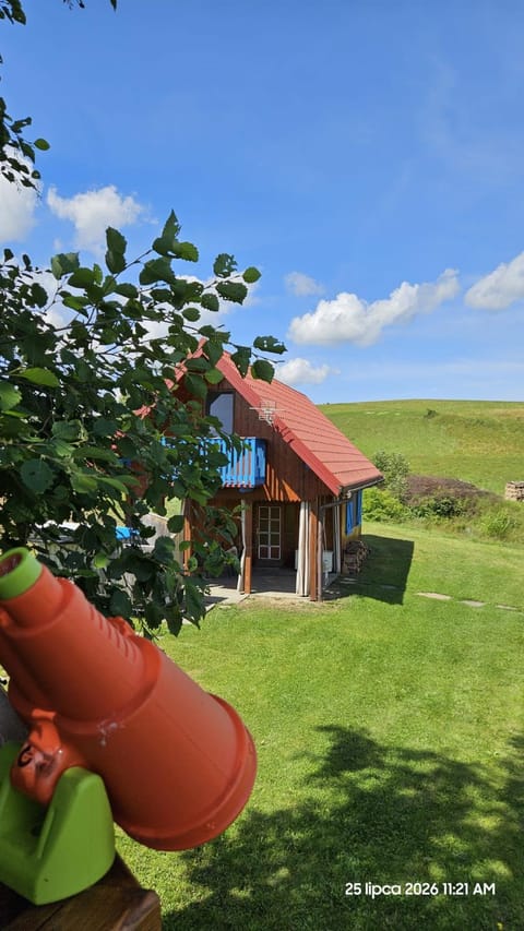 Day, Natural landscape, Garden, Garden view