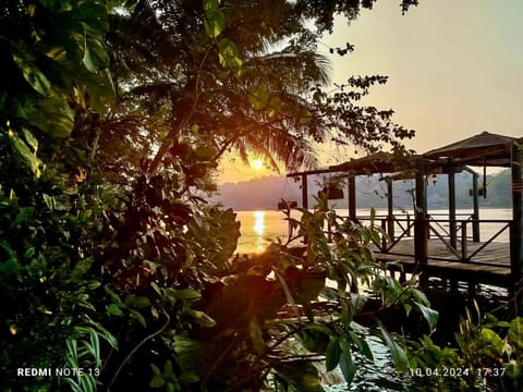 Natural landscape, River view, Sunset