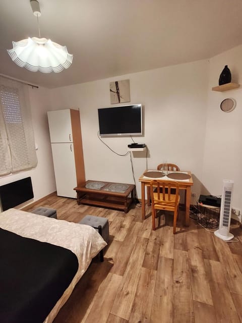 Communal lounge/ TV room, Bed, TV and multimedia, Living room, Photo of the whole room, Seating area, Bedroom