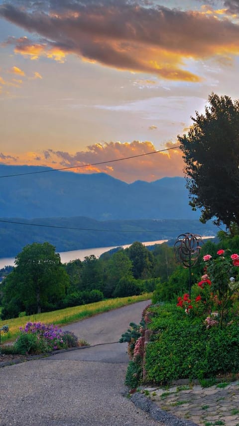 Lake view