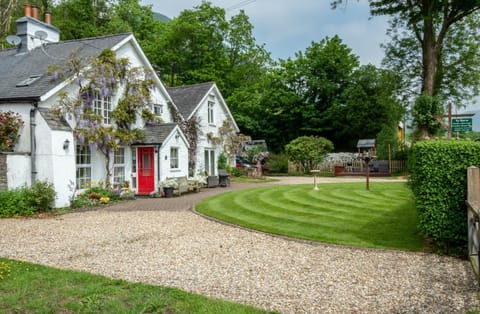 Property building, Garden view