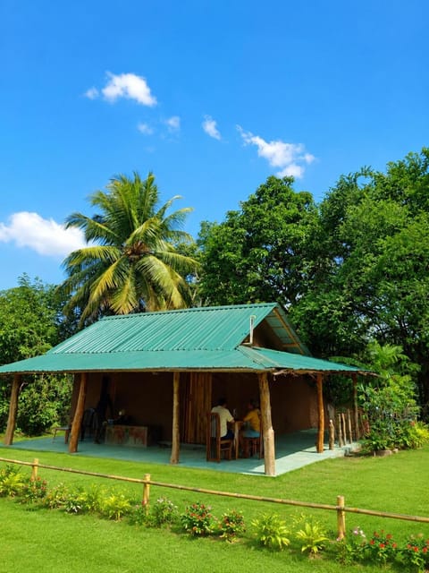 Property building, Day, Garden view