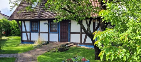Property building, Garden view
