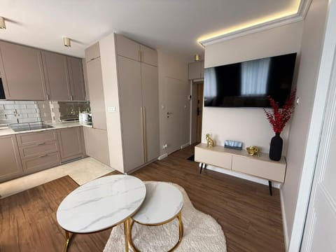 Kitchen or kitchenette, Living room, Seating area