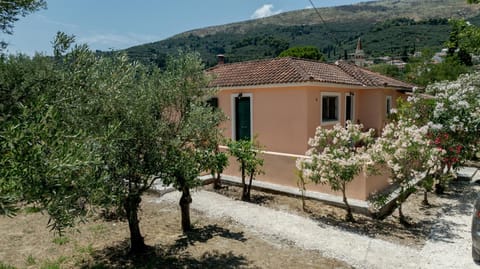 Natural landscape, Garden