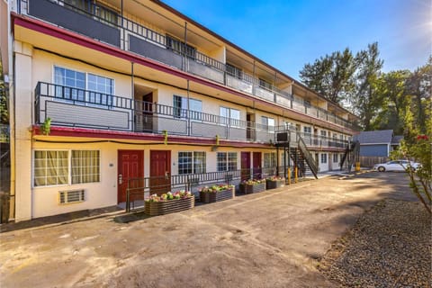 Property building, Day