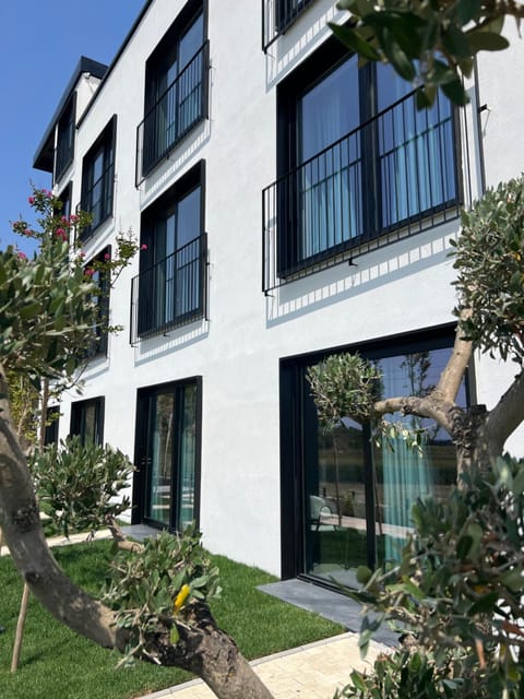 Property building, Day, Garden
