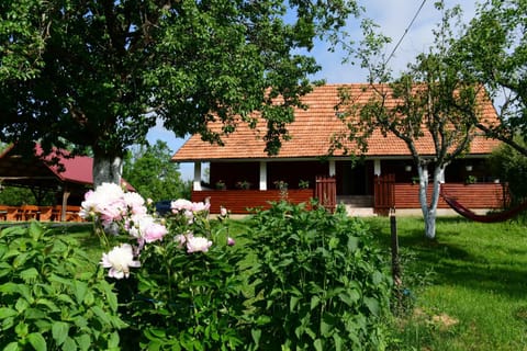 House Luna Apartment in Lika-Senj County