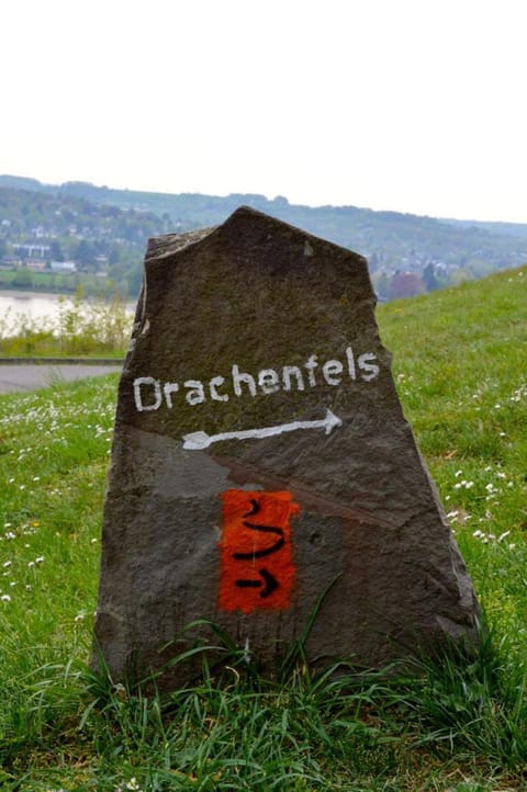 Day, Logo/Certificate/Sign