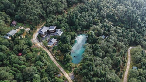 Neighbourhood, Natural landscape, Bird's eye view