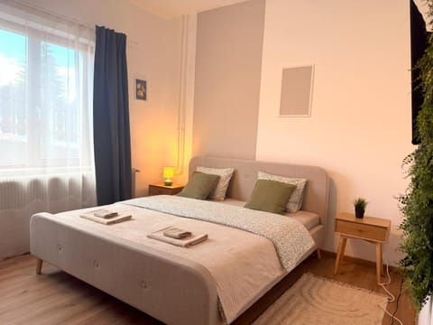 Bed, Living room, Photo of the whole room, Bedroom, towels