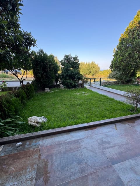 Neighbourhood, Garden, Garden view