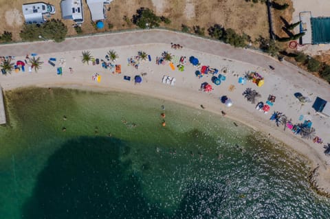 Activities, Beach, Entertainment