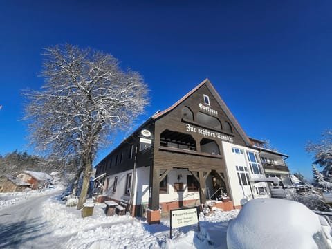 Property building, Winter