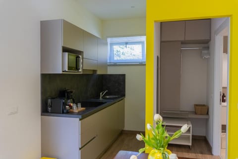 Regina e Oriente Apartment in Canton of Ticino