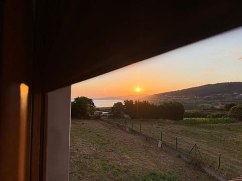Garden, Sunset