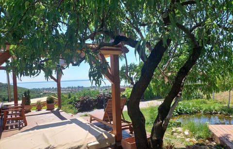 Sea view