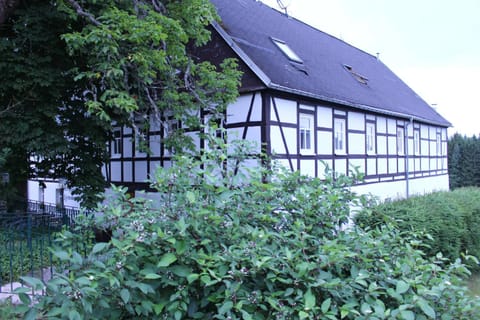 Property building, Garden, Garden view