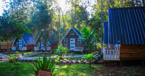 Property building, Natural landscape