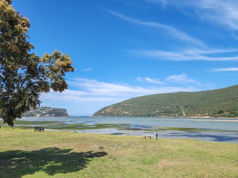 Day, Natural landscape, Lake view