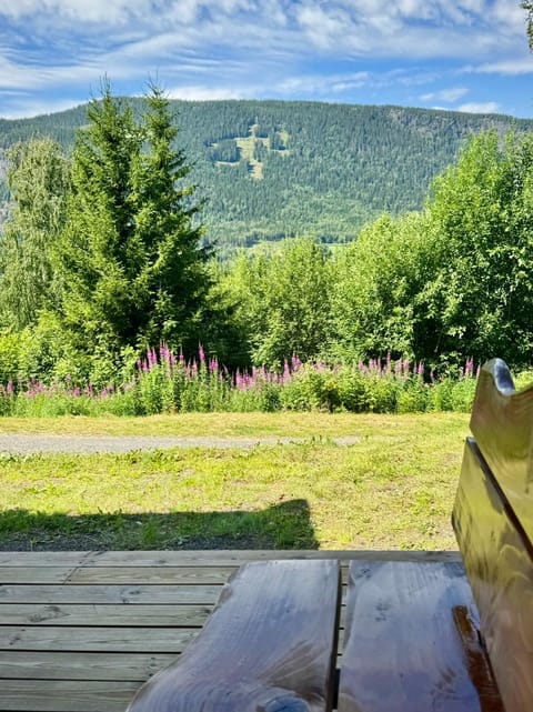 Property building, Summer, View (from property/room), Balcony/Terrace, Mountain view, Family, Family, Family
