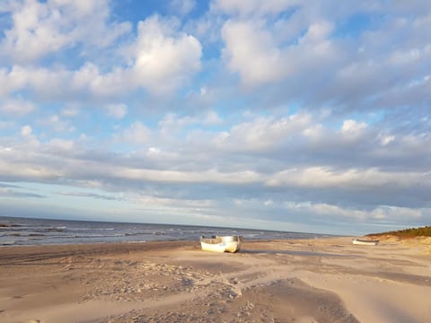 Natural landscape, Beach